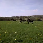 Frühstückspension Haras De La Croix D'argent Saint-Sauveur-de-Carrouges