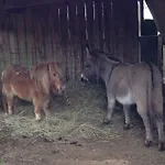 Haras De La Croix D'argent Frühstückspension 3*