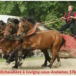 Frühstückspension Haras De La Croix D'argent