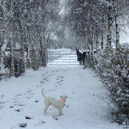 Haras De La Croix D'argent 3* Saint-Sauveur-de-Carrouges