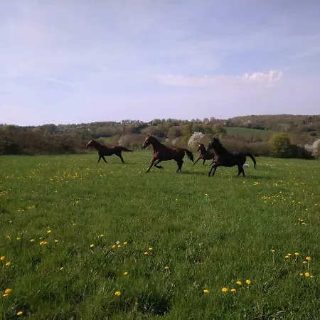 Frühstückspension Haras De La Croix D'argent Saint-Sauveur-de-Carrouges