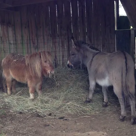 Haras De La Croix D'argent Frühstückspension 3*