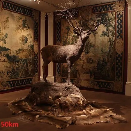 B&B Haras De La Croix D'argent Saint-Sauveur-de-Carrouges