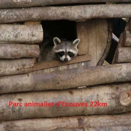 Haras De La Croix D'argent B&B