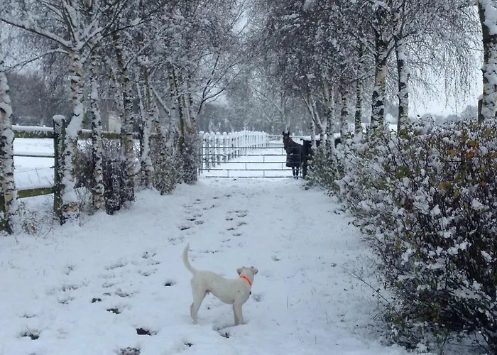 Haras De La Croix D'argent 3* Saint-Sauveur-de-Carrouges