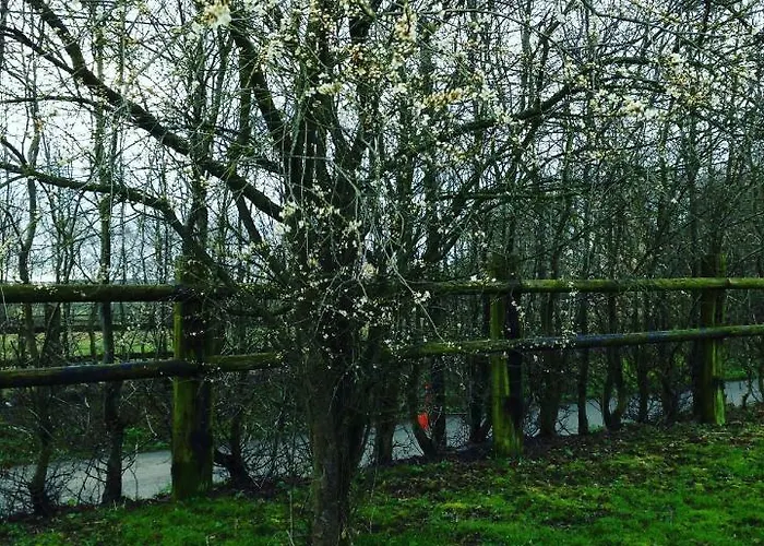 Haras De La Croix D'argent Saint-Sauveur-de-Carrouges