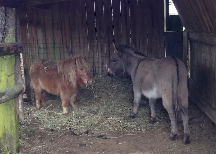 Haras De La Croix D'argent Couette-café 3*