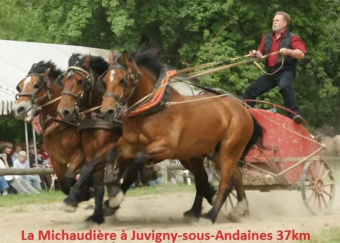 Couette-café Haras De La Croix D'argent