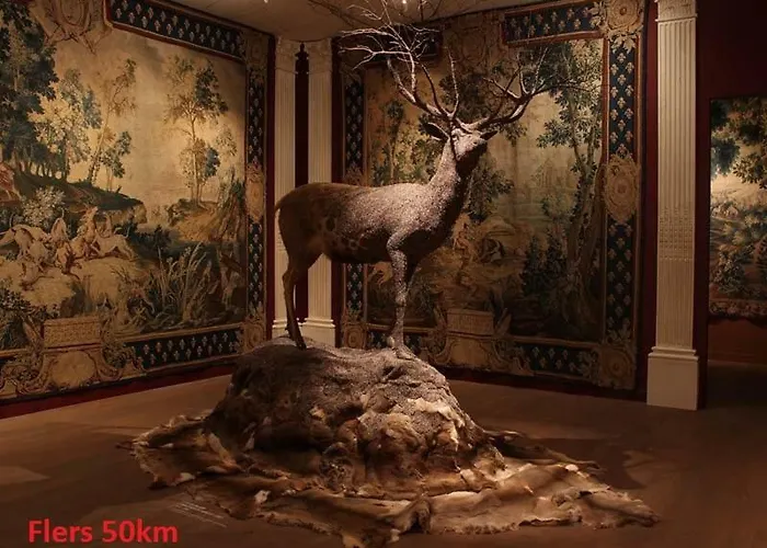 Couette-café Haras De La Croix D'argent Saint-Sauveur-de-Carrouges