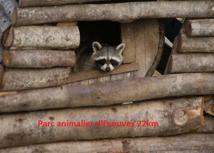Haras De La Croix D'argent Couette-café